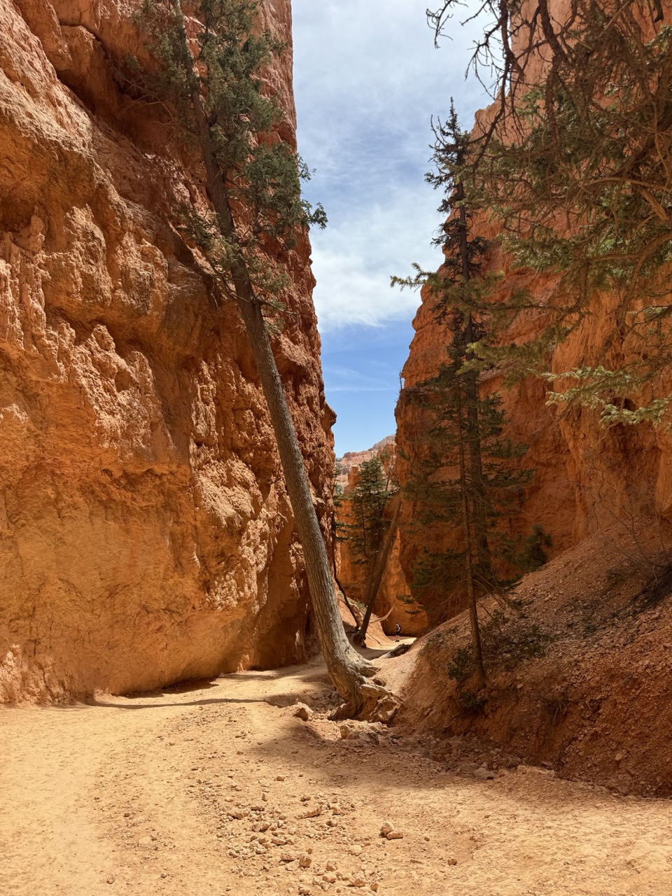 zion national park, utah